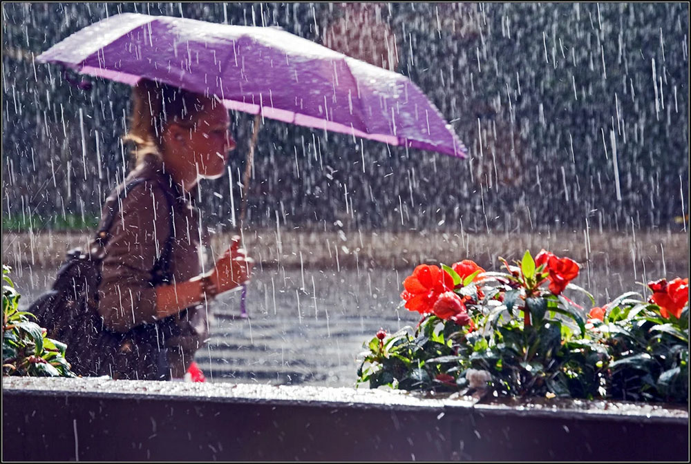 Врач рассказала, как дождливое лето может отразиться на здоровье брянцев