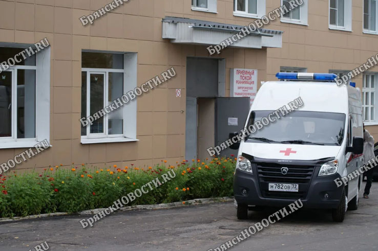 В больницу Новозыбкова доставили искусанного собакой ребенка из Злынковского района