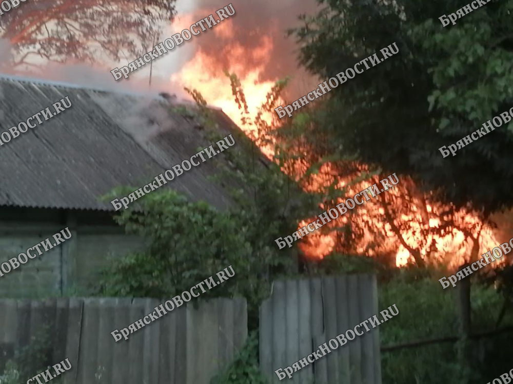 Страшный пожар в селе под Новозыбковом