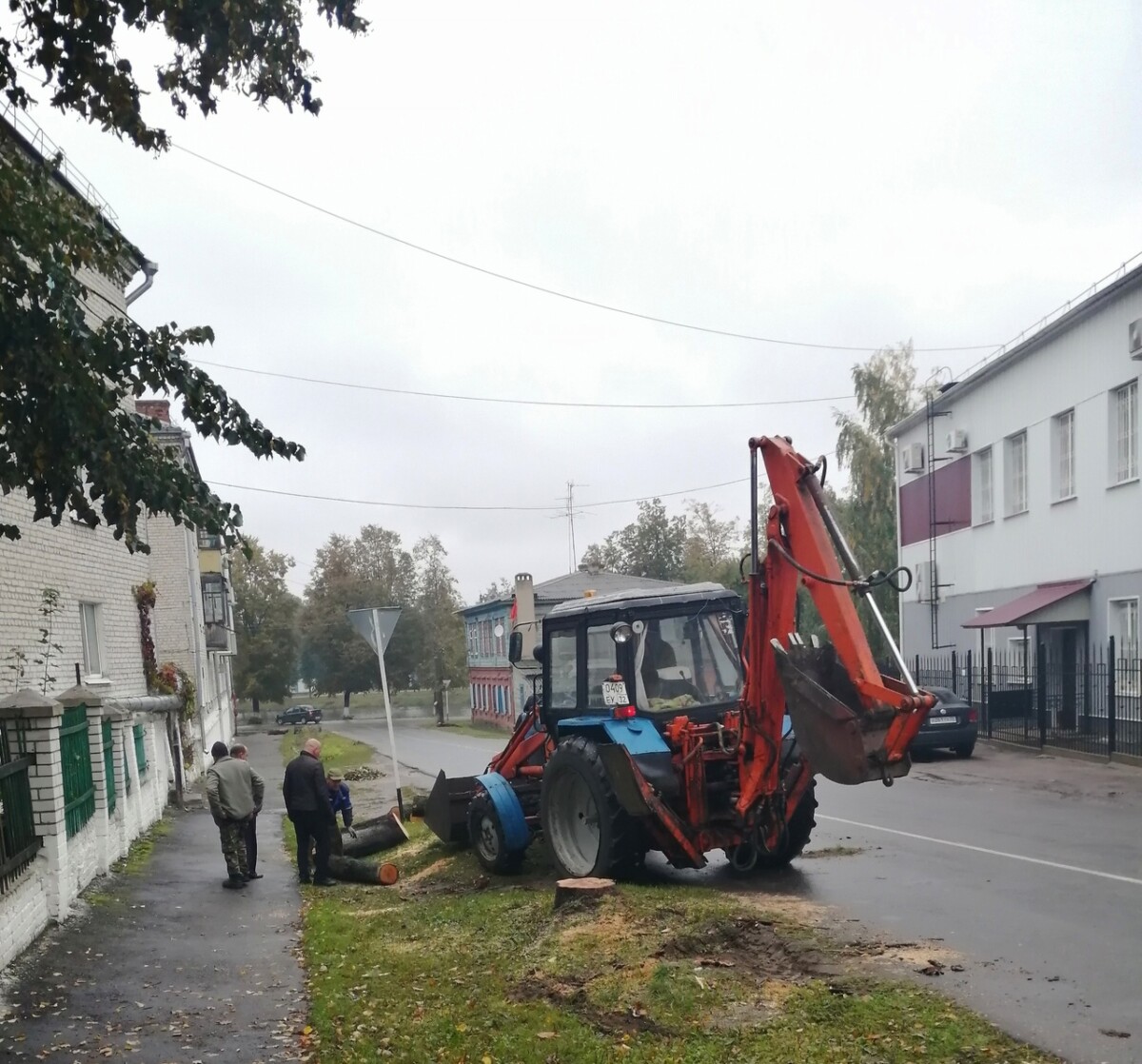 Деревья-столбики в Новозыбкове превратили в пеньки. Пышной кроны не случилось