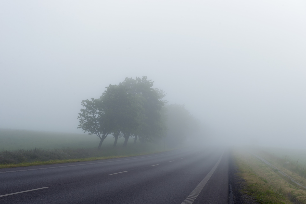 Водителей просят быть осторожными на дорогах из-за плотного тумана
