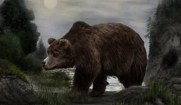 Во времена ледниковья на землях нынешней Брянщины жили пещерные медведи. Они были вегетарианцами