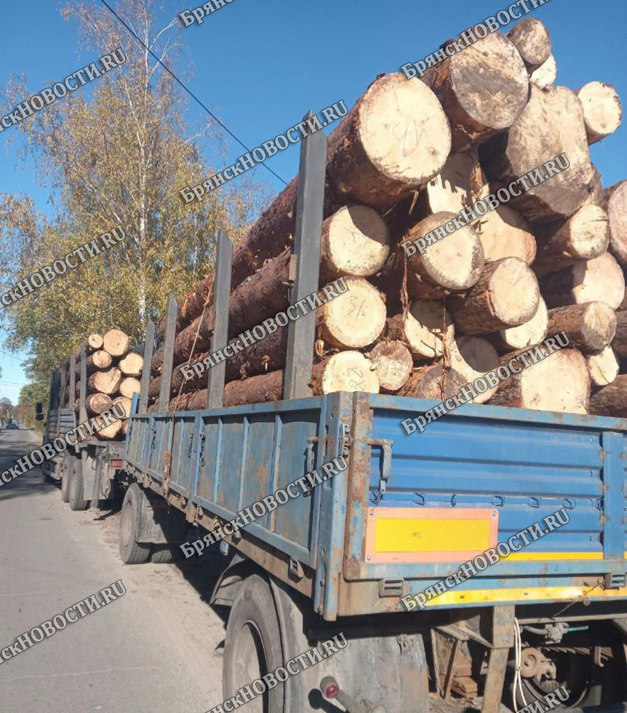 Груженый лесом КАМАЗ задержали сотрудники ДПС в Новозыбкове
