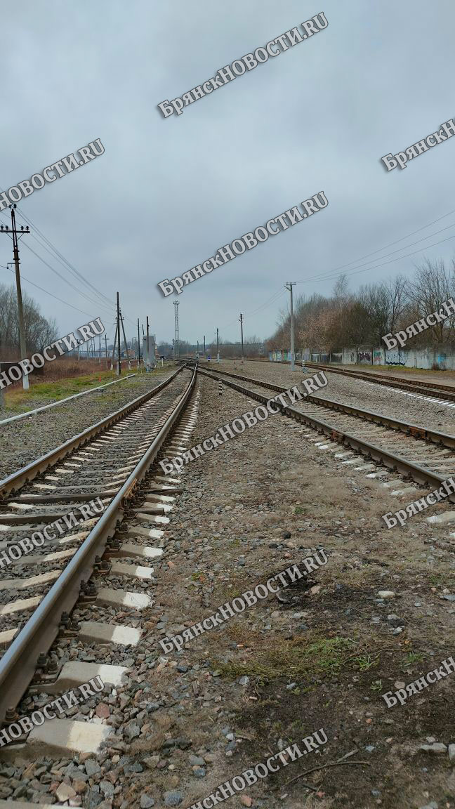После подрыва железнодорожного полотна под Новозыбковом приостановлено движение поездов