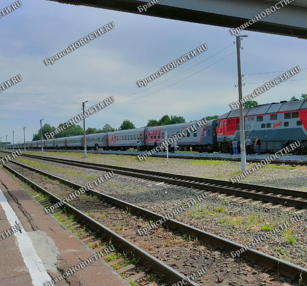 Движение поездов на участке Новозыбков – Злынка в Брянской области восстановлено