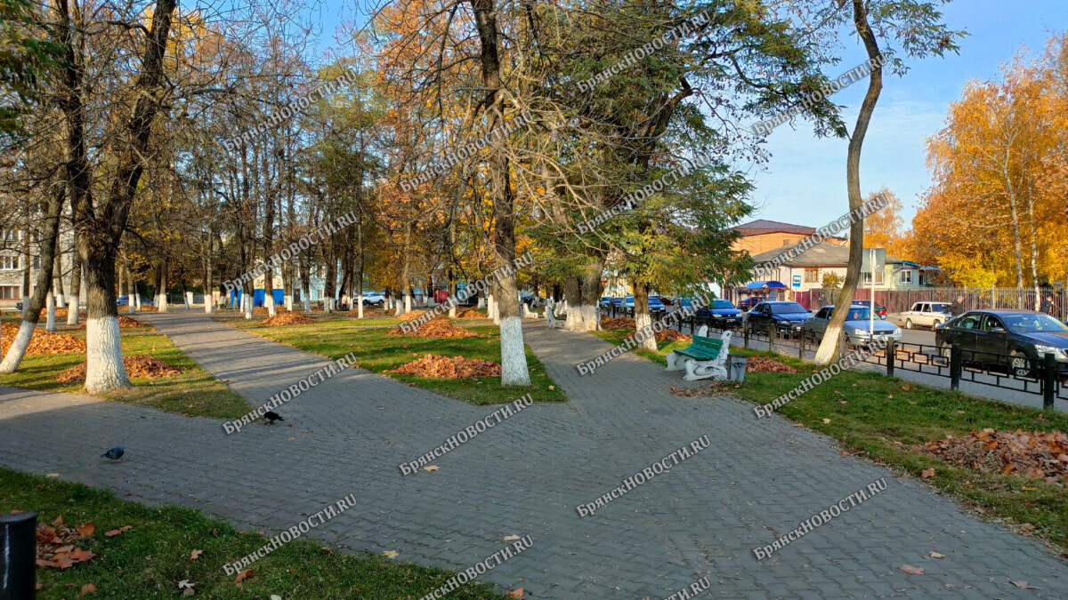 Житель Новозыбкова объявил в розыск забытую в людном месте барсетку