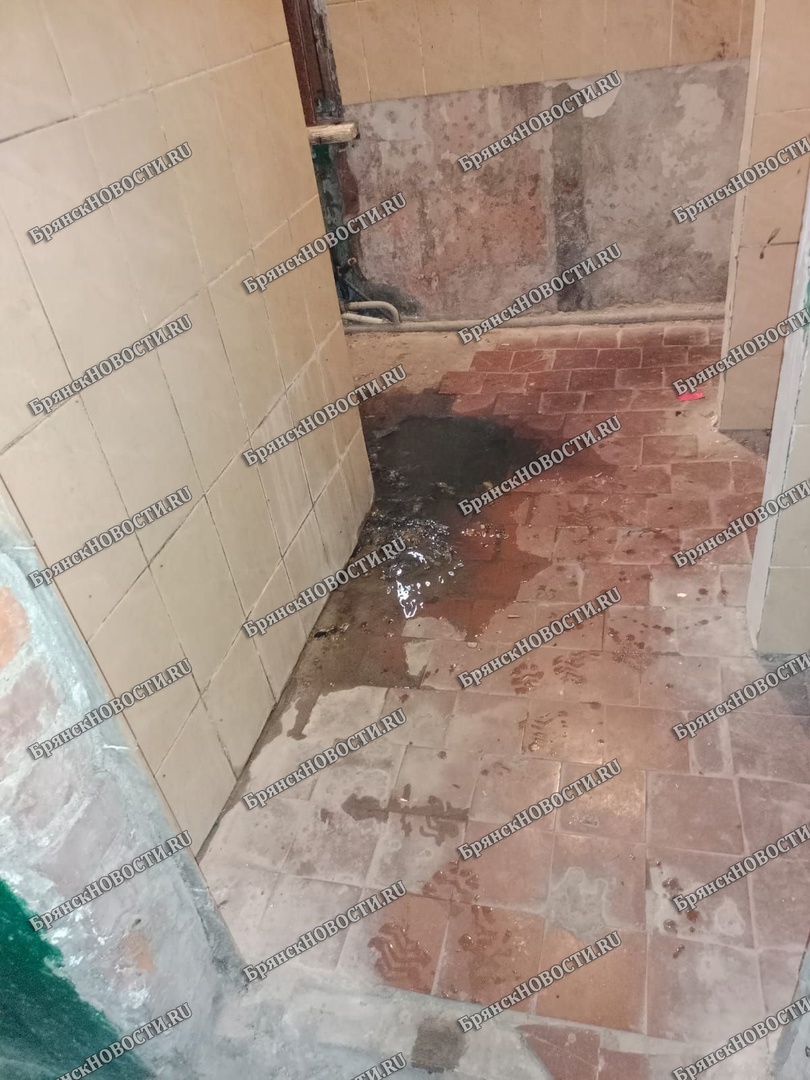Жильцы дома, где прорвало канализацию, пригласили в душ коммунальщиков Новозыбкова