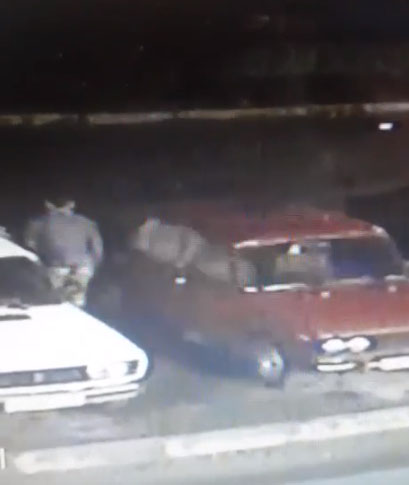 В Климово сняли на видео похитителя бензина