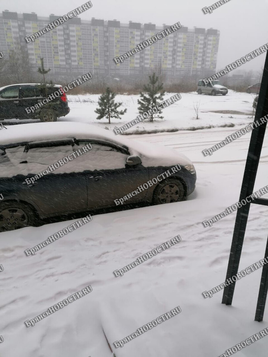 Из-за снегопада в Брянской области ввели план «Дорога»