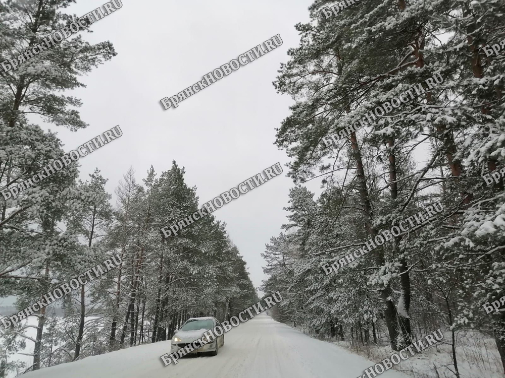 После первого снега в Новозыбкове и районе произошло как минимум 12 ДТП