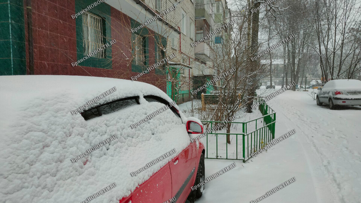 В Брянской области ввели режим повышенной готовности из-за снегопада