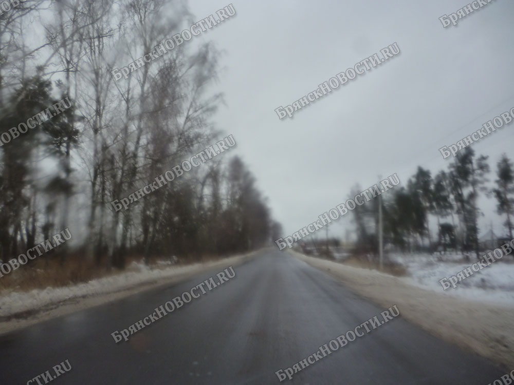 Инспекторы из Новозыбкова на трассе задержали автомобиль, перевозивший АКБ