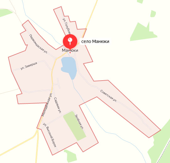 Жителя села Манюки с серьезными травмами доставили в больницу Новозыбкова