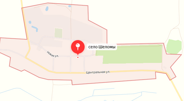 В селе Шеломы под Новозыбковом пожар уничтожил дом