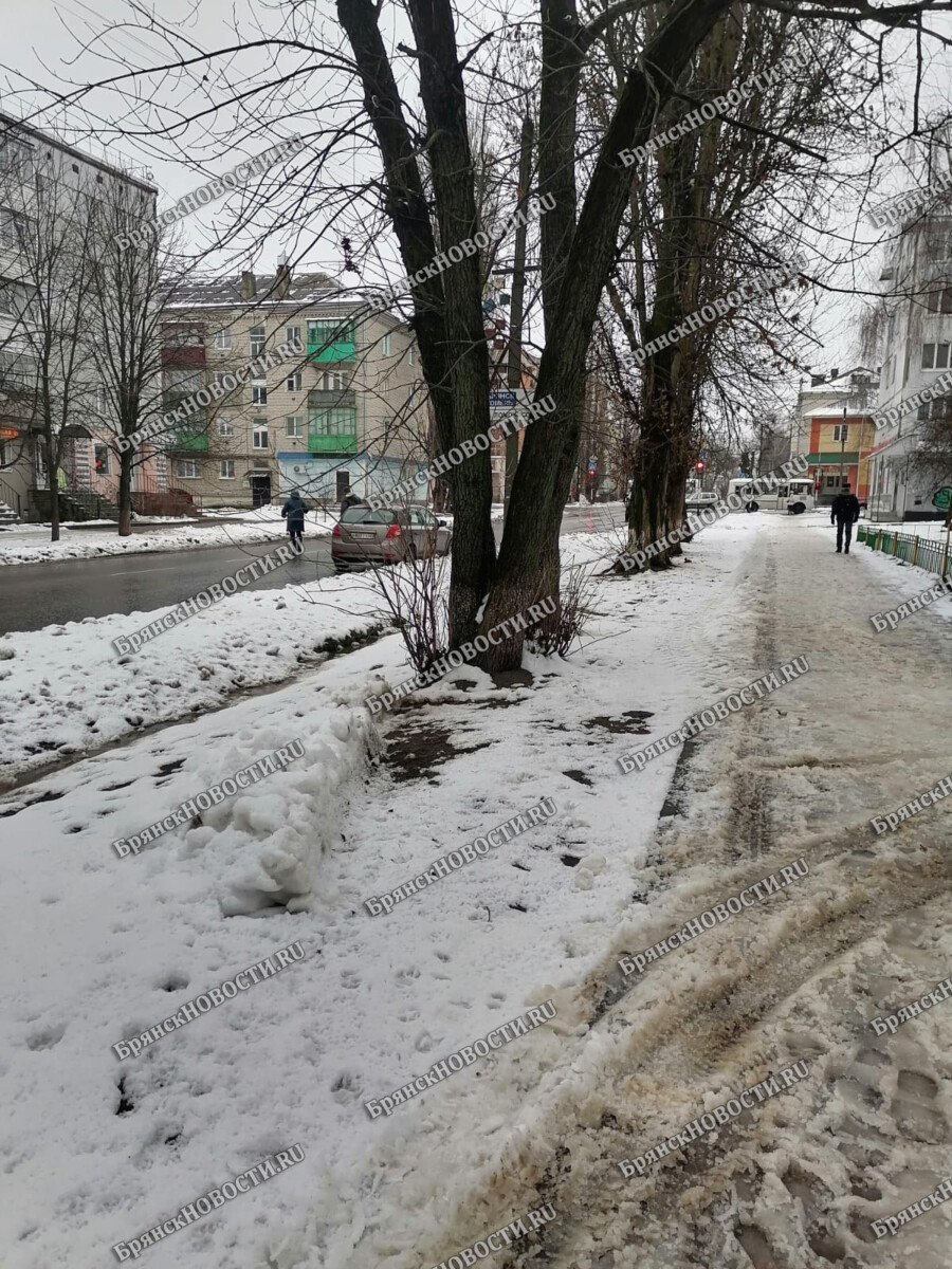 То ли дождь, то ли снег в Брянской области • Новозыбков.SU