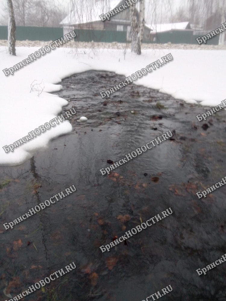 Полные ливневки вонючей жижи в Новозыбкове