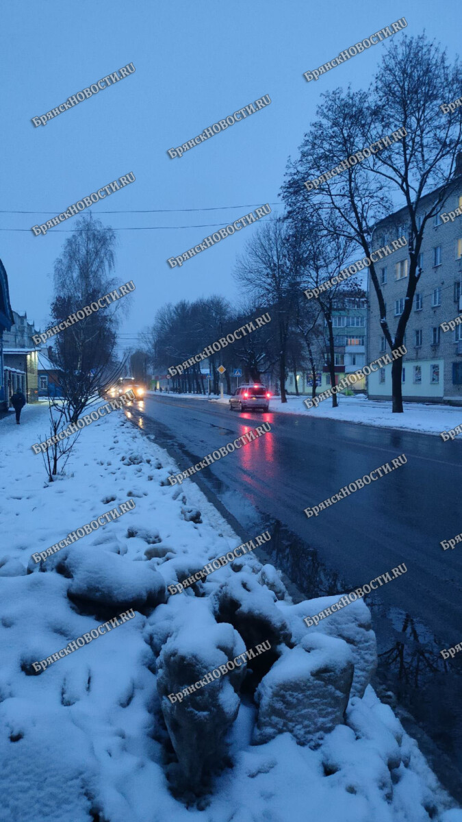 В Новозыбкове «соцработница» вынесла из дома пожилой горожанки 75 тысяч  рублей • Новозыбков.SU