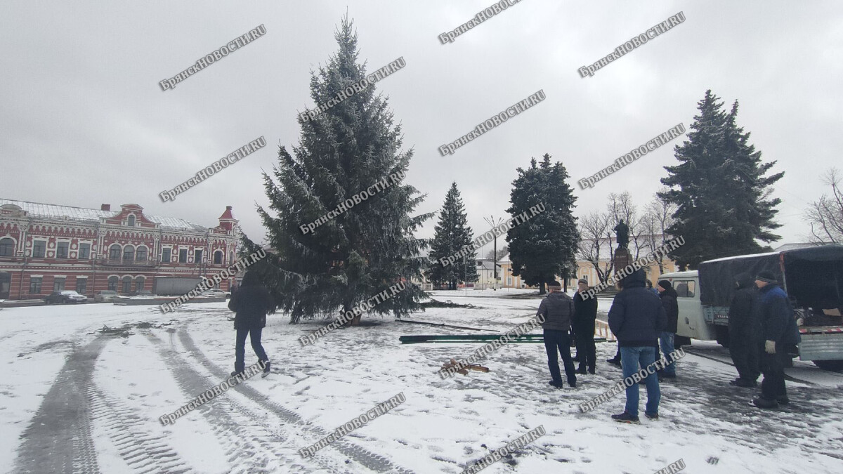 В Новозыбкове установили главную новогоднюю ель