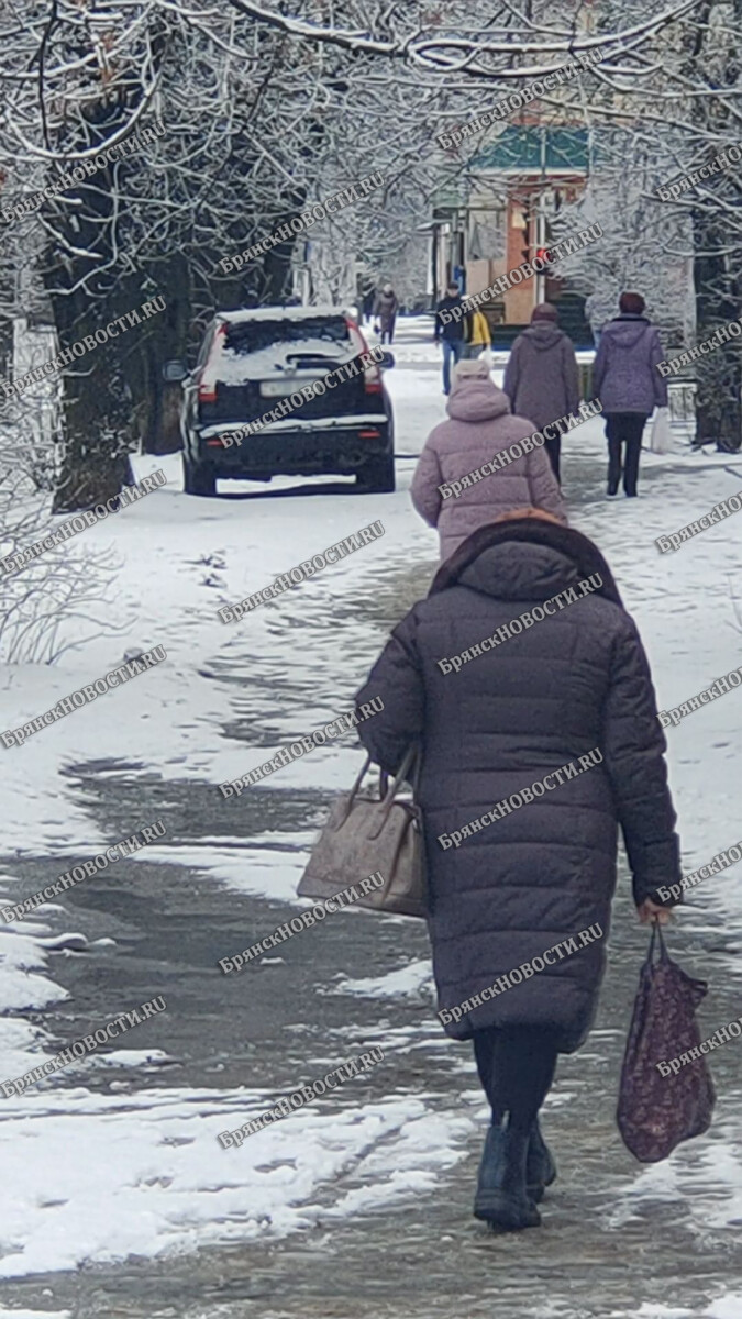 Пенсионный фонд заверил в своевременности выплат в Брянской области •  Новозыбков.SU