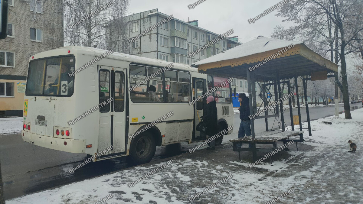 Новые тарифы для проезда в пригородном железнодорожном и автобусном транспорте начнут действовать в новом году в Брянской области