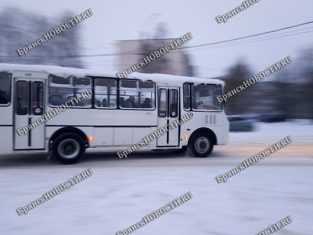 Стала известна стоимость проезда в пригороде Новозыбкова