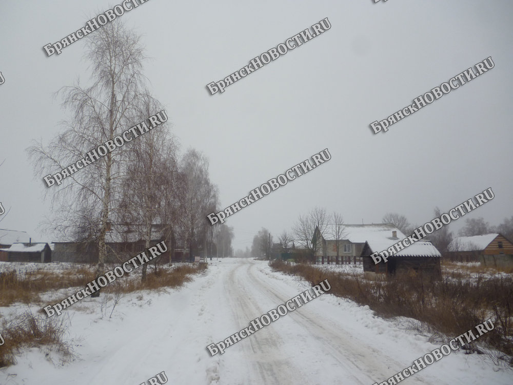 Из-за метели в Новозыбковском округе без света оставались восемь сел