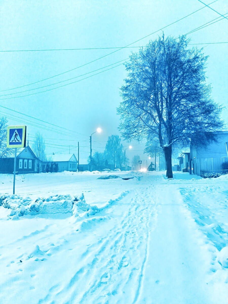 Брянской области обещают три снежных дня. Уже метет