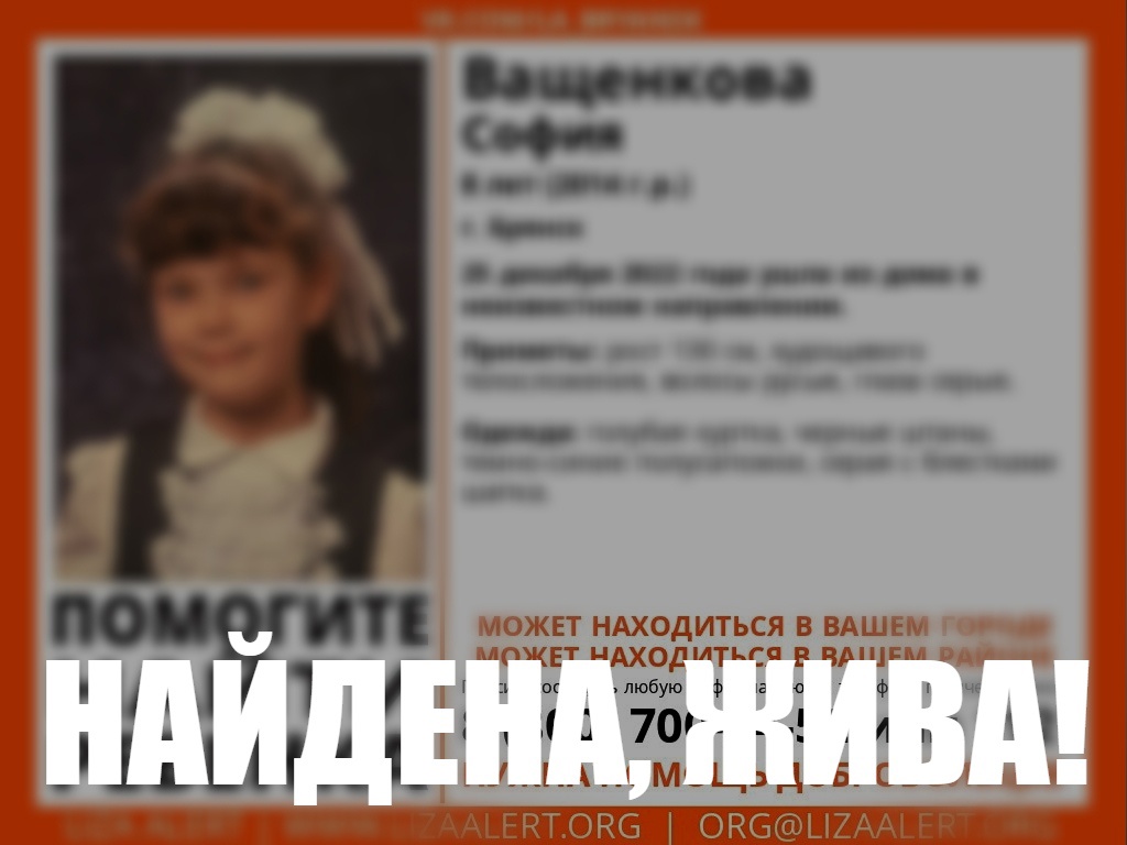 В Брянске нашли живой пропавшую 8-летнюю девочку