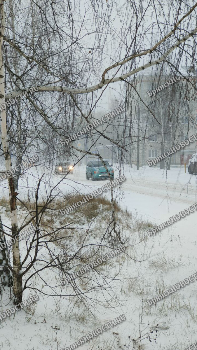 За выходные на дорогах Новозыбковского округа произошло пять ДТП