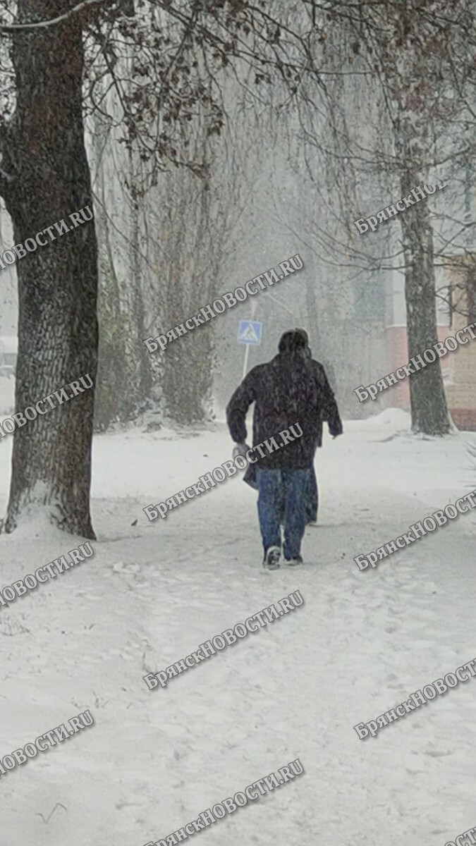 Последний день осени в Новозыбкове отметился семейными скандалами