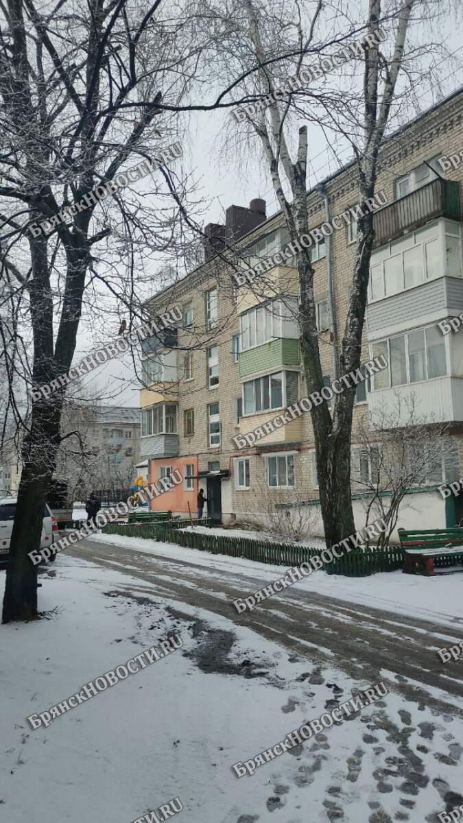 Снег, мокрый снег, дождь в Брянской области