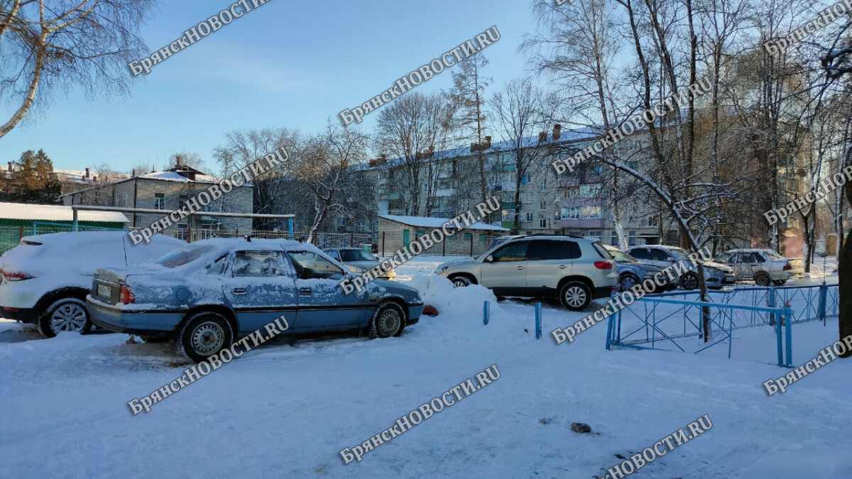 Полицейские Новозыбкова уличили в краже из автомобиля ранее судимого