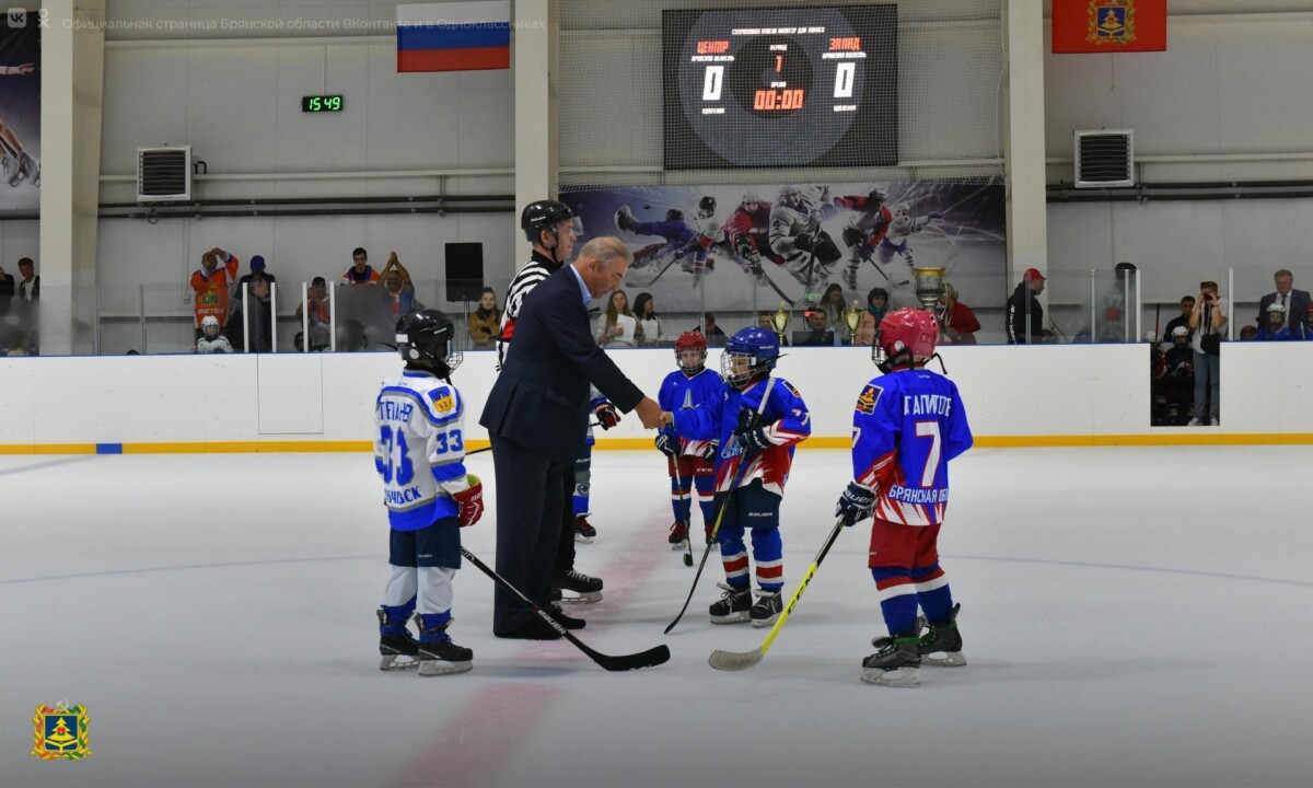 Хоккейные секции всех Ледовых дворцов Брянской области укомплектуют бесплатной формой