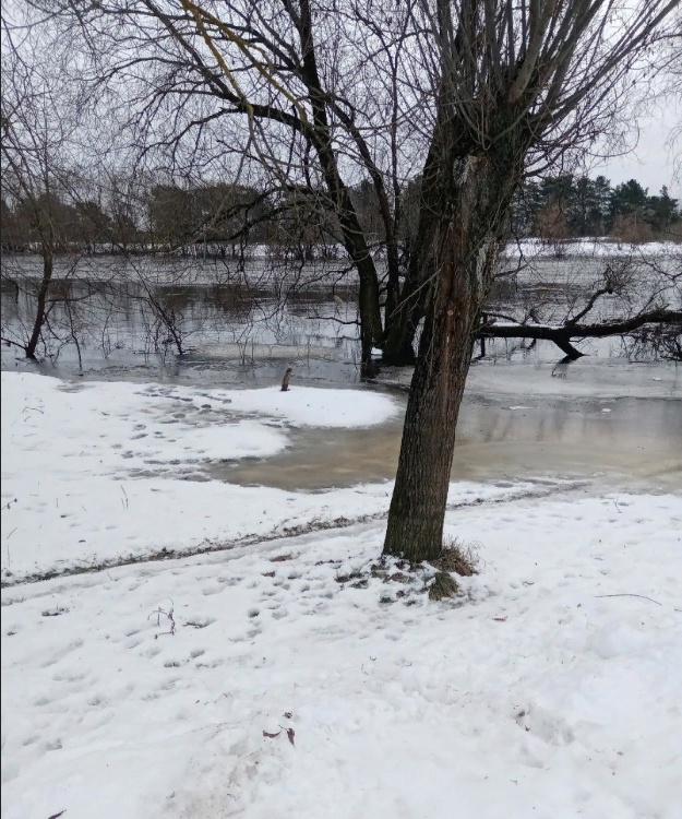 Опасно подходить к реке. Эксперт из Брянской области рассказал о скрытой опасности зимнего паводка