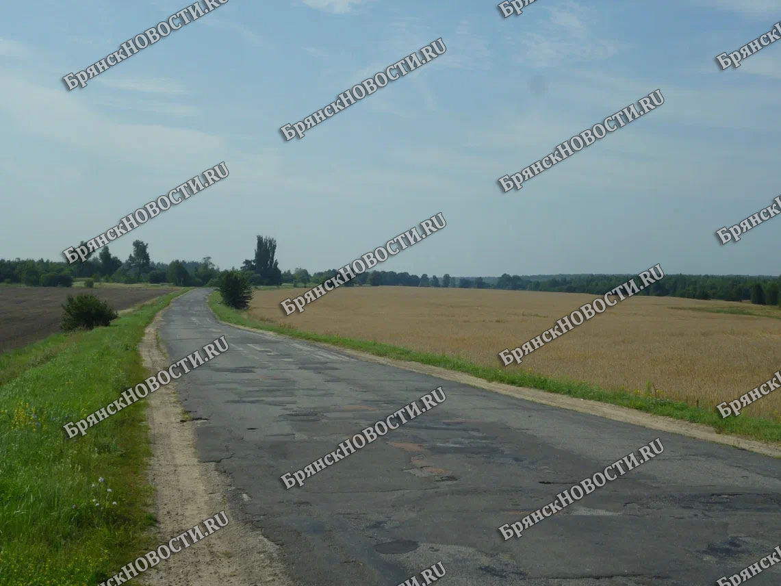В Управлении автомобильных дорог Брянской области не дали конкретного ответа по ремонту в Новозыбковском округе