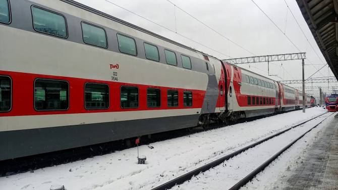 Пассажиры сообщили об экстренной остановке поезда «Иван Паристый» под Брянском