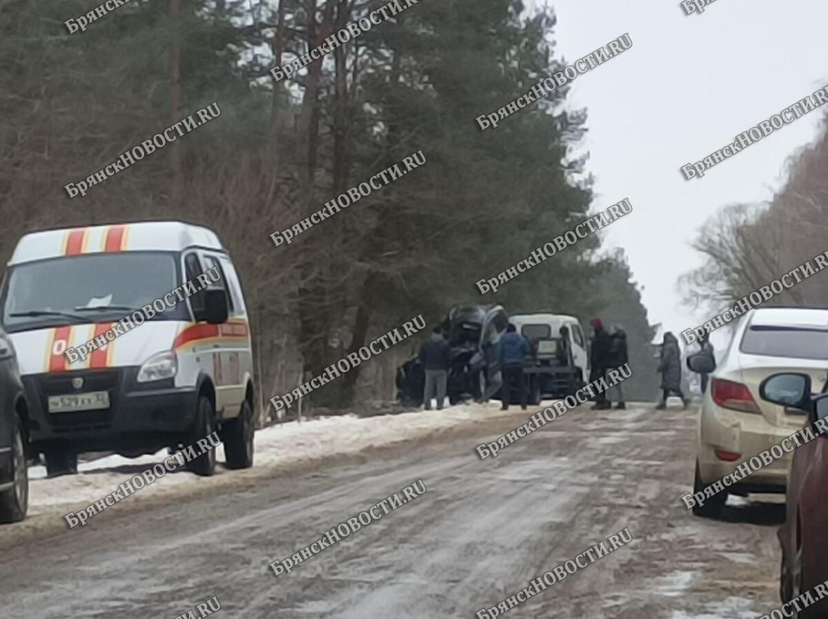 Эвакуация машины, разбившейся в ДТП под Дедовским Новозыбковского района