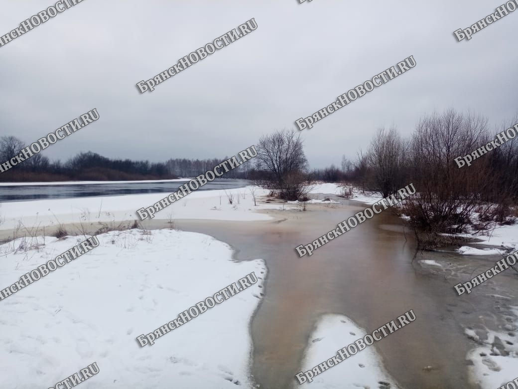 В селе Перевоз под Новозыбковом река Ипуть в ближайшие дни может подтопить дорогу