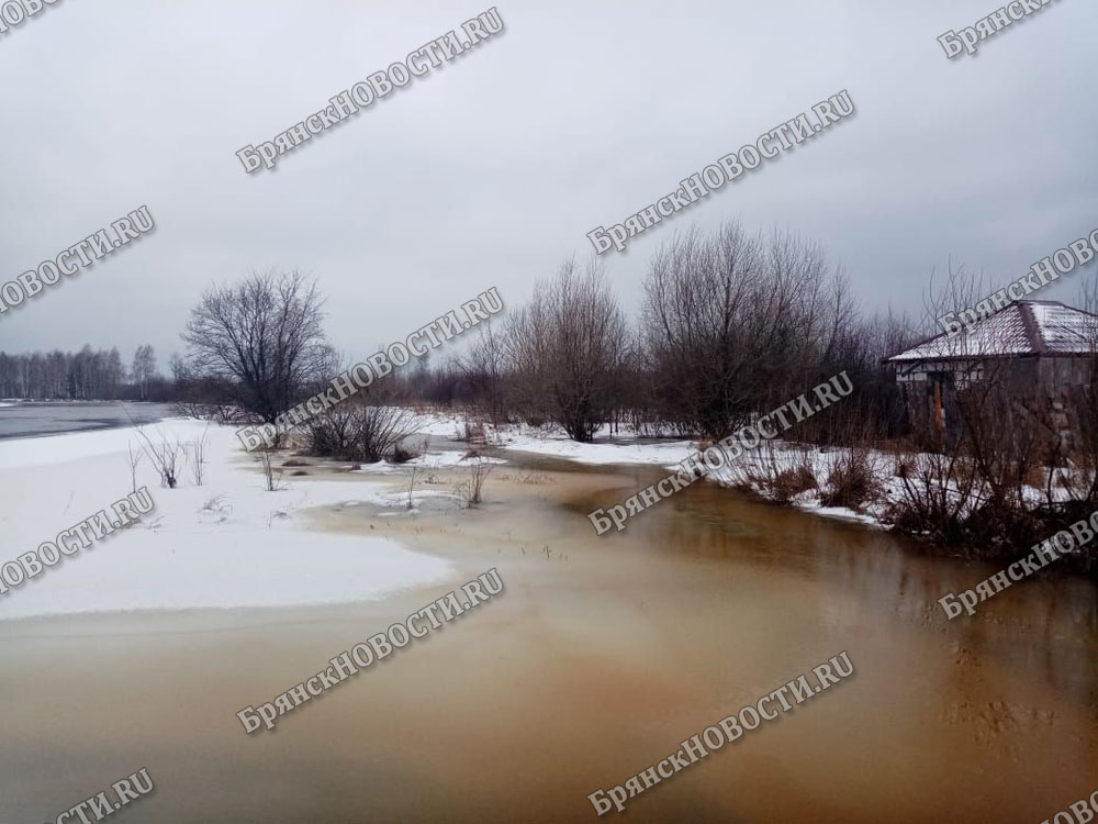 Мороз стабилизировал ситуацию с подтоплением дороги у села Перевоз