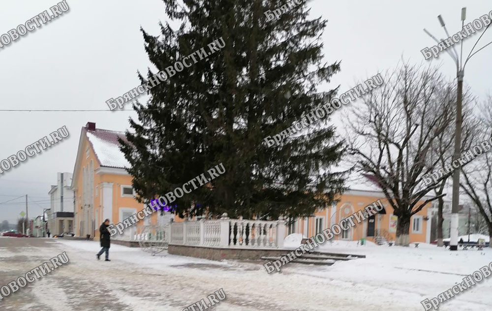 Уволенный после «ледового» скандала Андрей Будаев получил новую должность в Новозыбкове