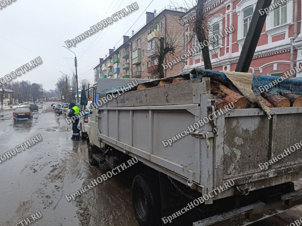 Полный дров грузовик остановили инспекторы в Новозыбкове