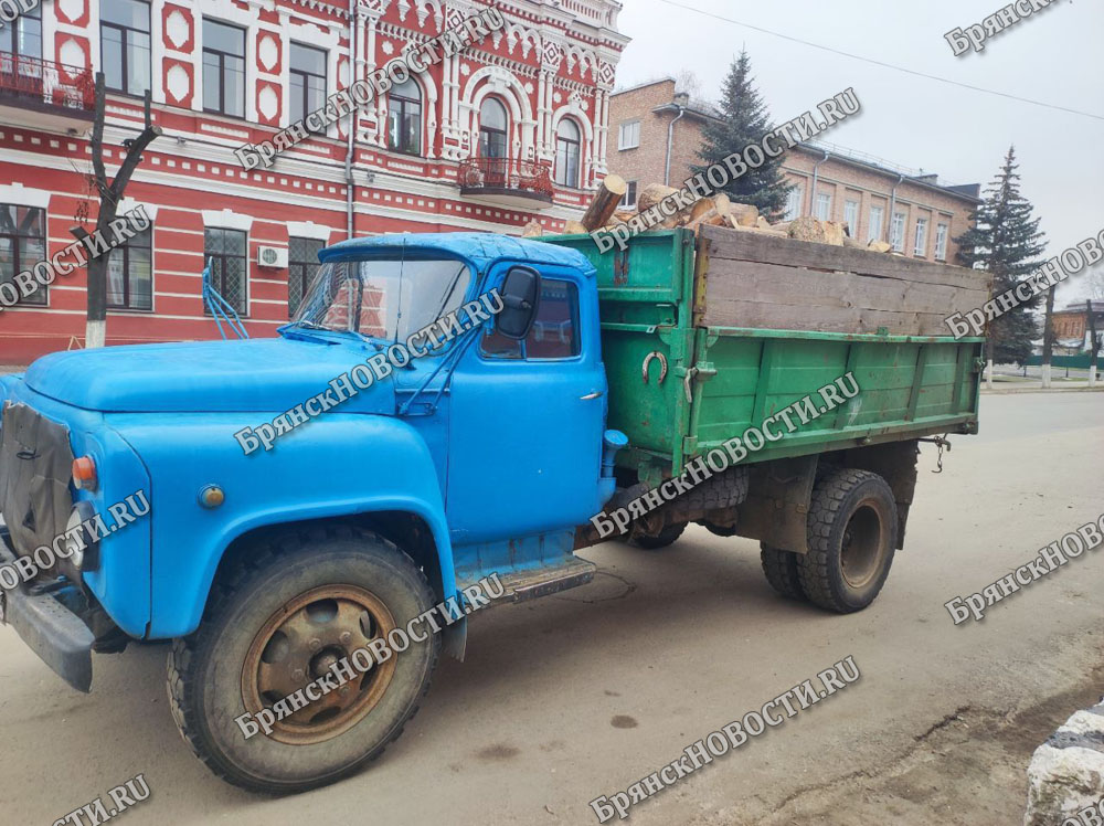 В Новозыбкове задержали водителя грузовика с дровами