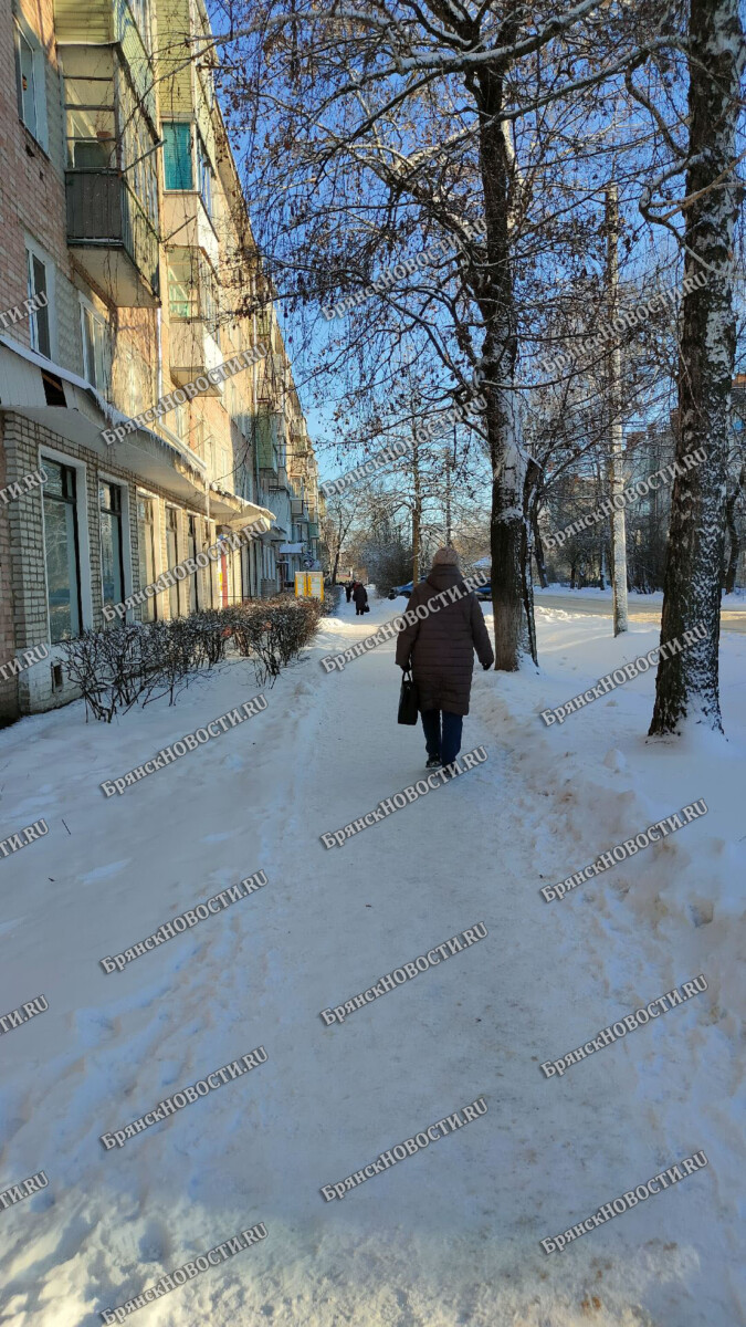 Пенсию брянским пенсионерам повысили в среднем на тысячу рублей