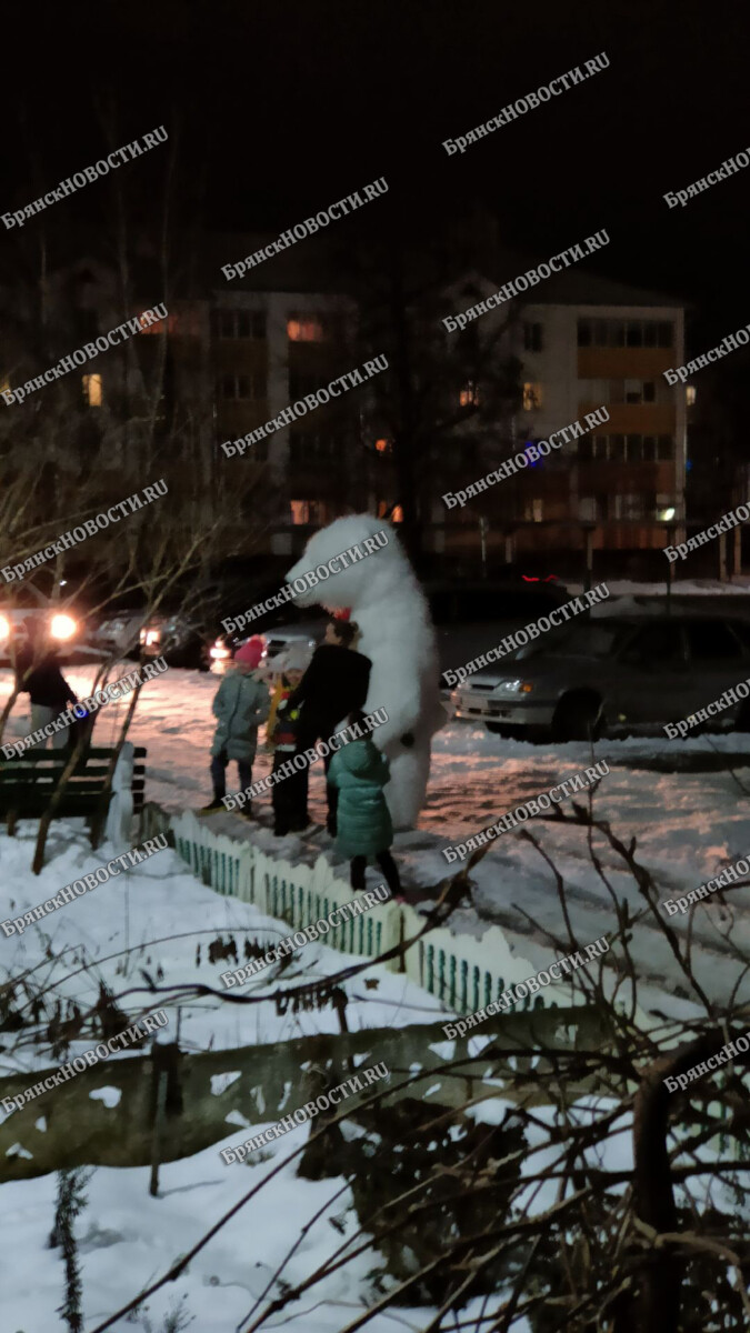 В Новозыбкове огромный белый медведь напугал прохожих • Новозыбков.SU