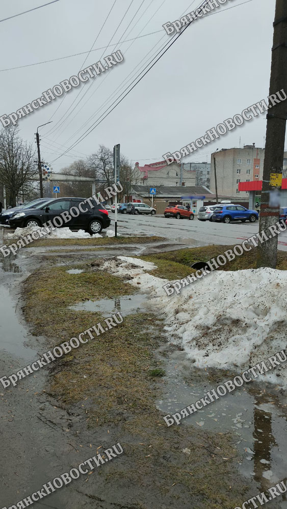 Один без «шашечек», другой без опыта: извозчики попались на нарушениях в Новозыбкове