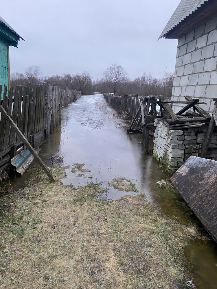 Зимний паводок в Брянской области: уровень воды в реках Десна и Болва продолжает расти
