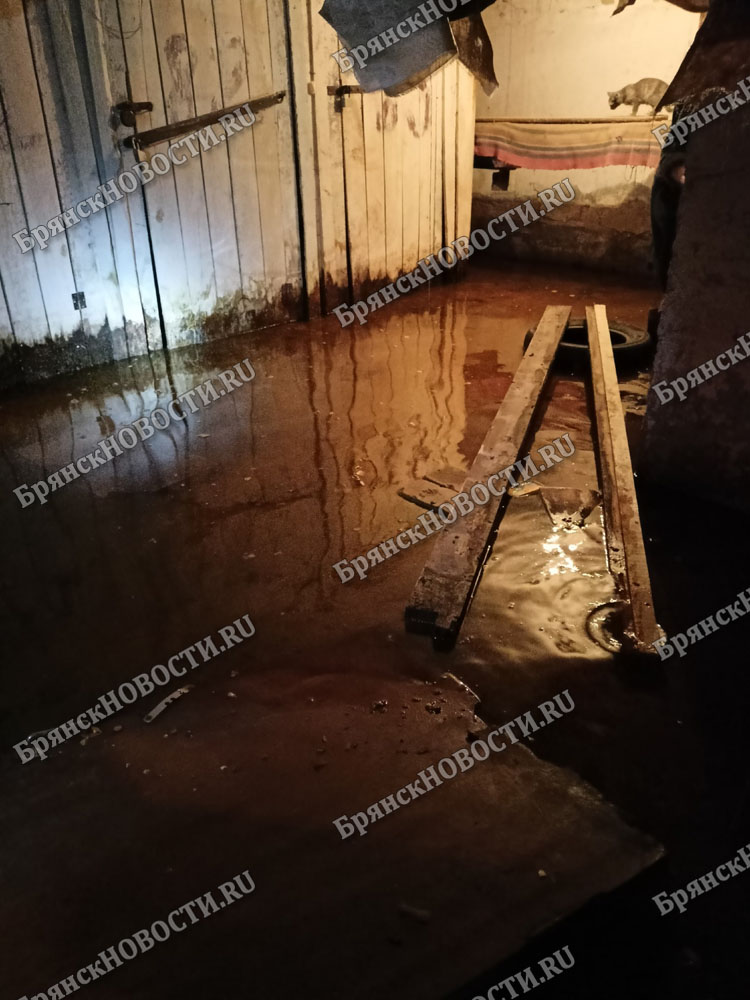 В затопленный подвал многоэтажки в Новозыбкове заглянул специалист: «Берите ведра и тряпки, и Бог вам в помощь»