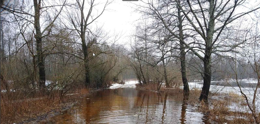 В Брянской области в новогоднюю оттепель затопило шесть участков