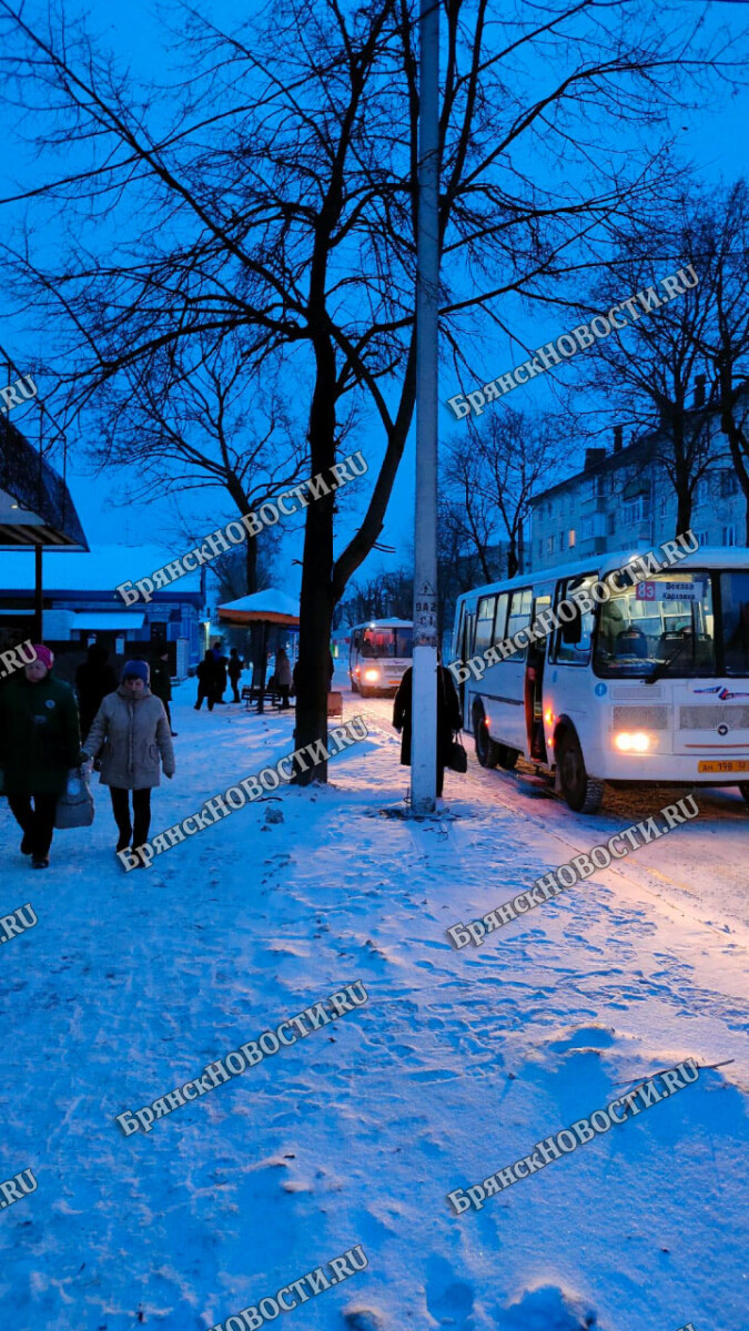 В Новозыбковском округе увеличится цена социального проездного