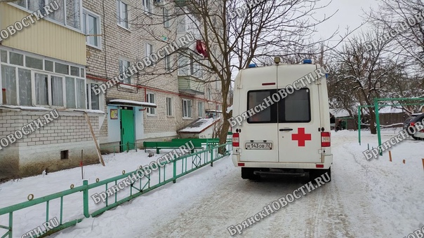 С укушенными ранами жительницу Новозыбкова доставили в больницу